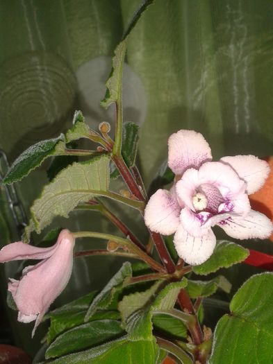 20160507_122615