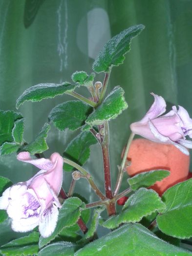 20160507_122623