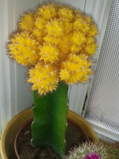 20160507_140231