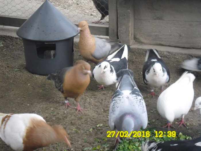 who is the boss bitch 032