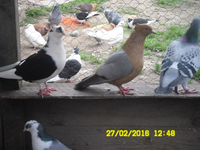 who is the boss bitch 092