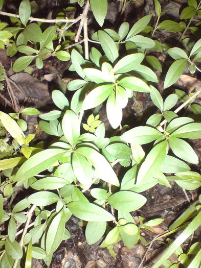 DSC02022