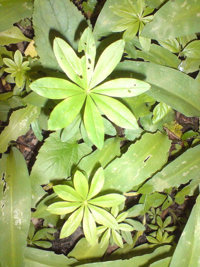 DSC02031