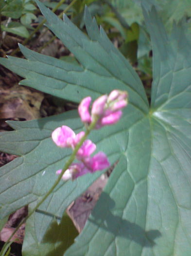 DSC02033