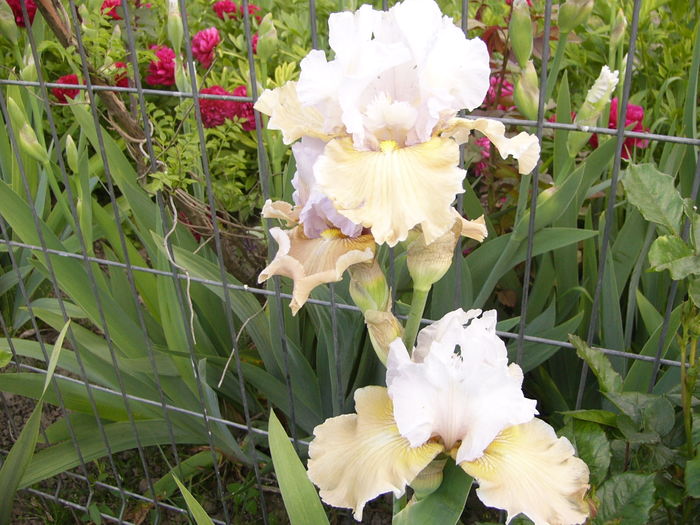 P1250733