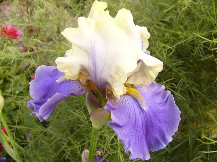 P1250735
