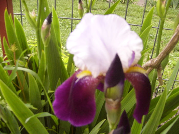 P1250741