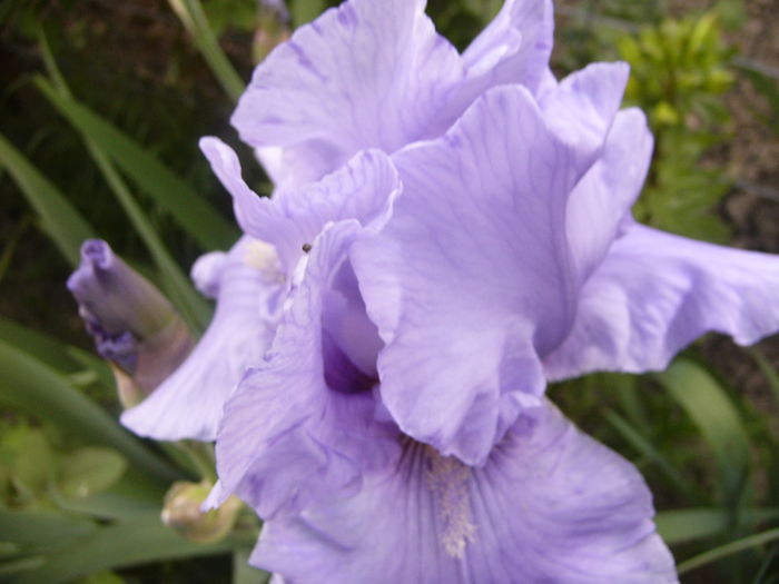 P1250744