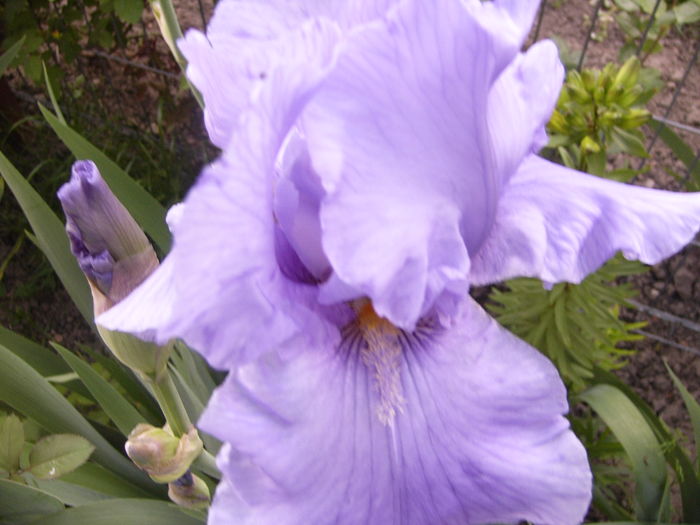P1250746