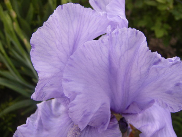 P1250747