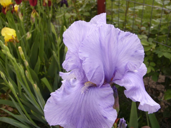 P1250749