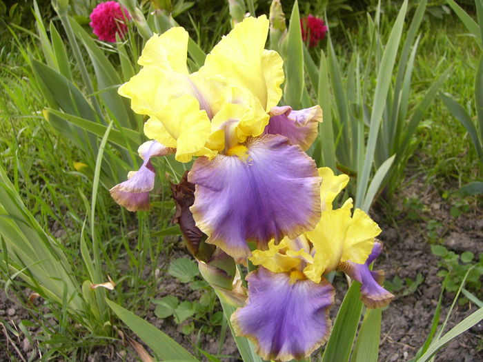 P1250753