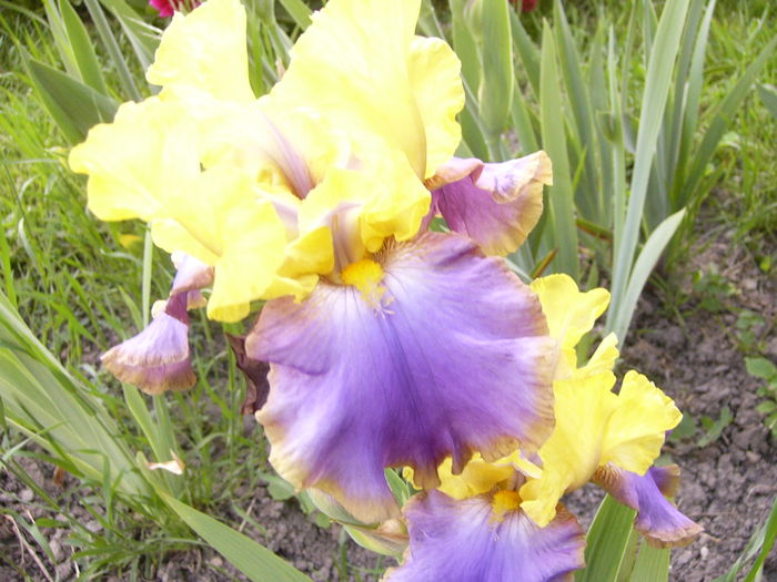 P1250754