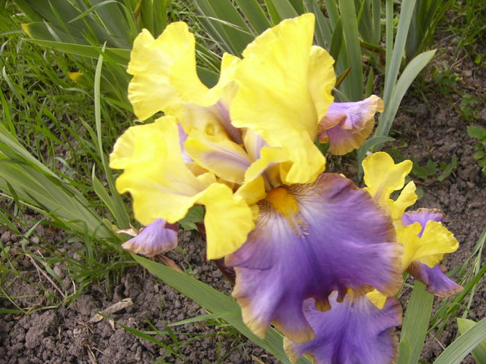P1250755