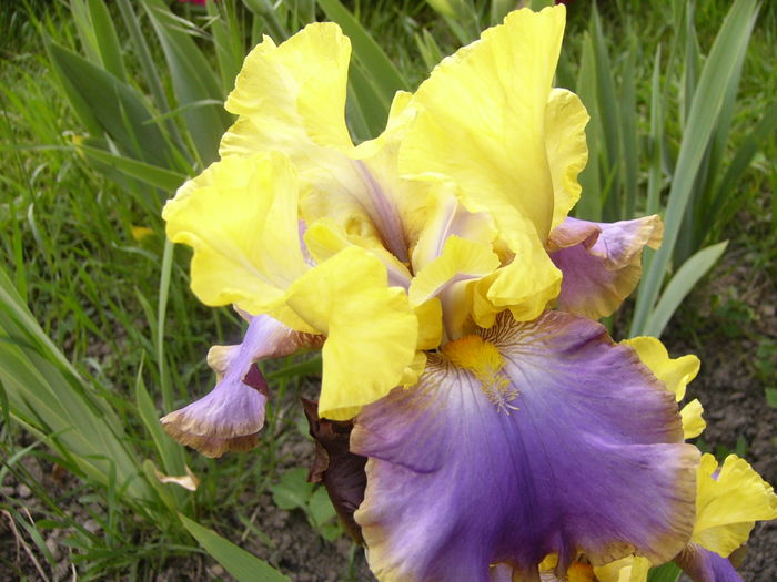 P1250758