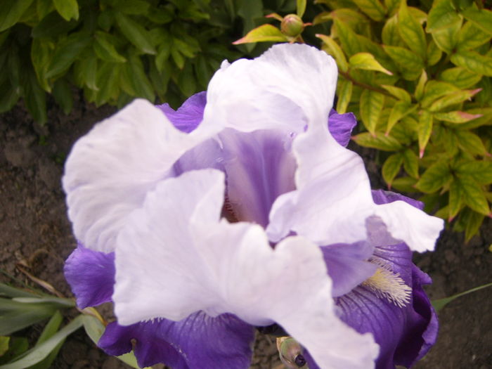 P1250771