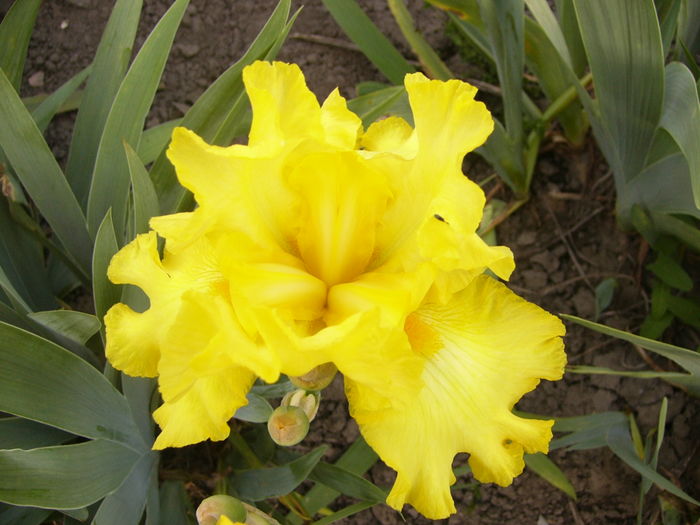 P1250775