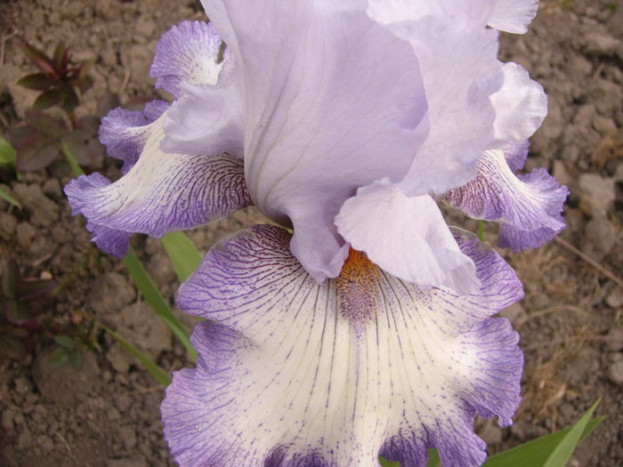 P1250781