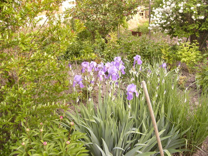 P1250783
