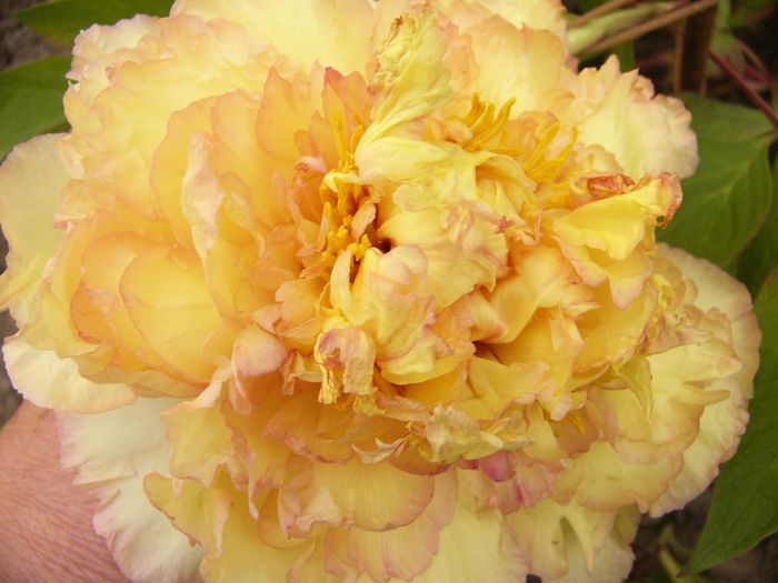 P1250790