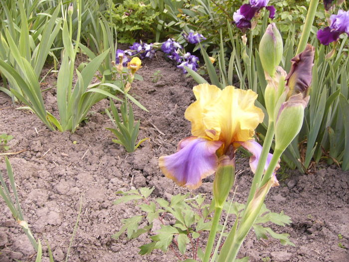 P1250803