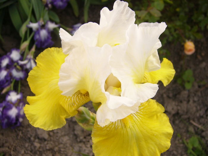 P1250810