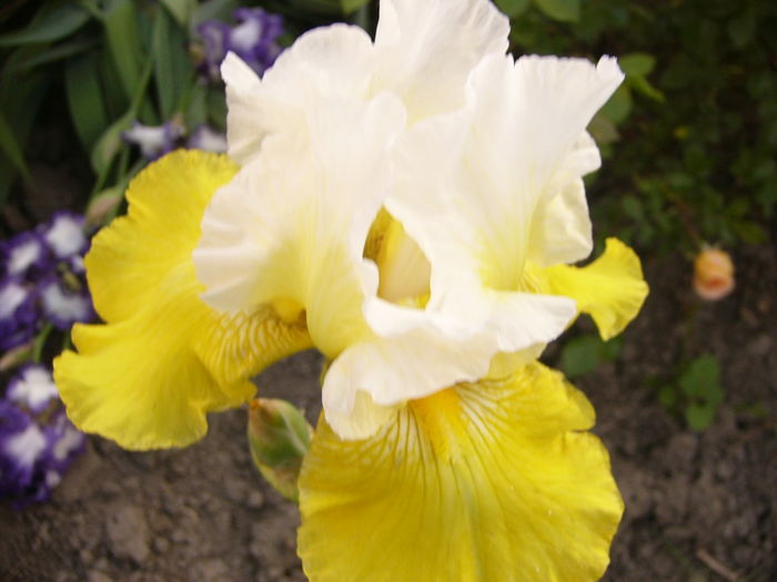 P1250811