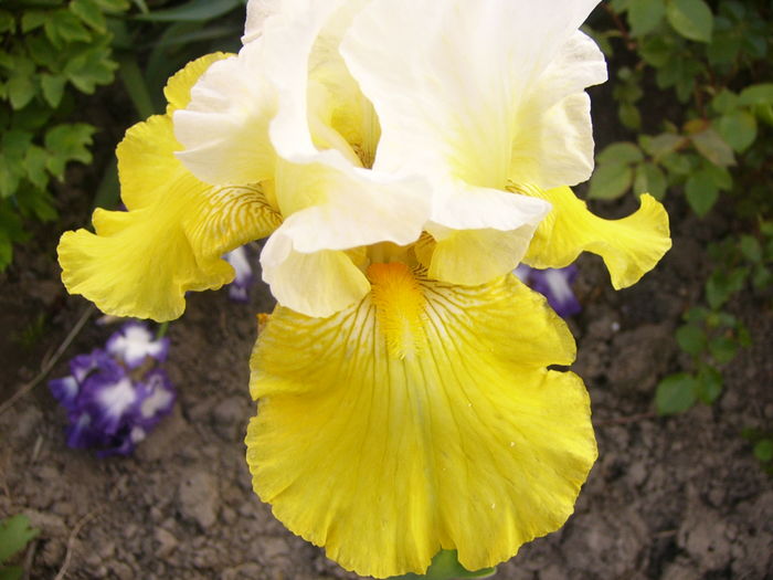 P1250812