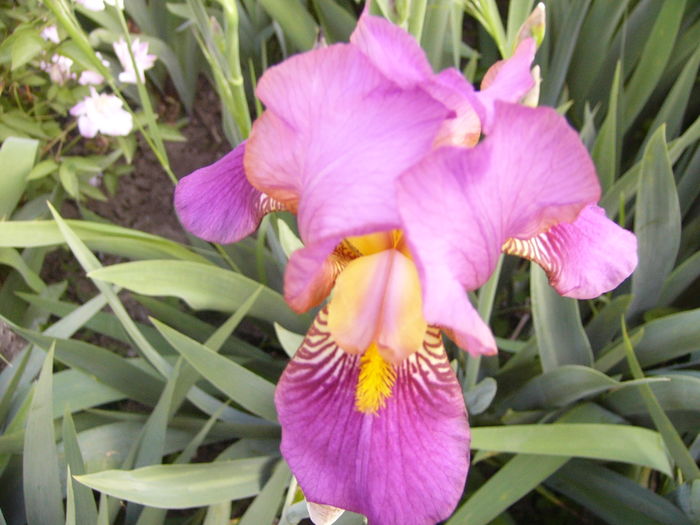 P1250814
