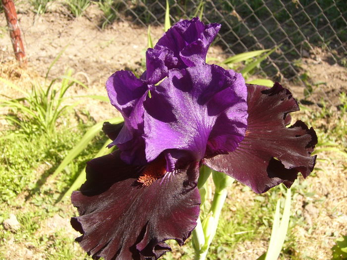 P1250820