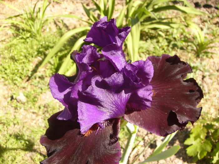 P1250821