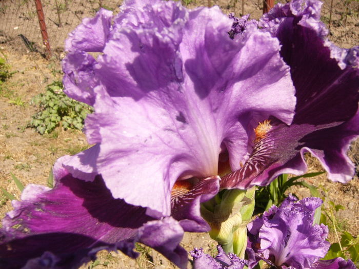 P1250824