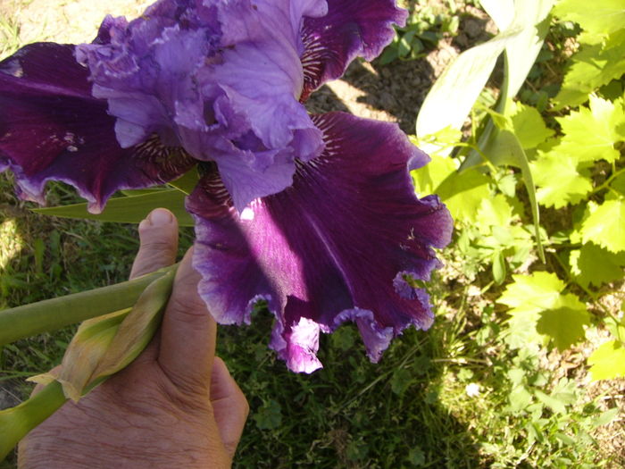 P1250826
