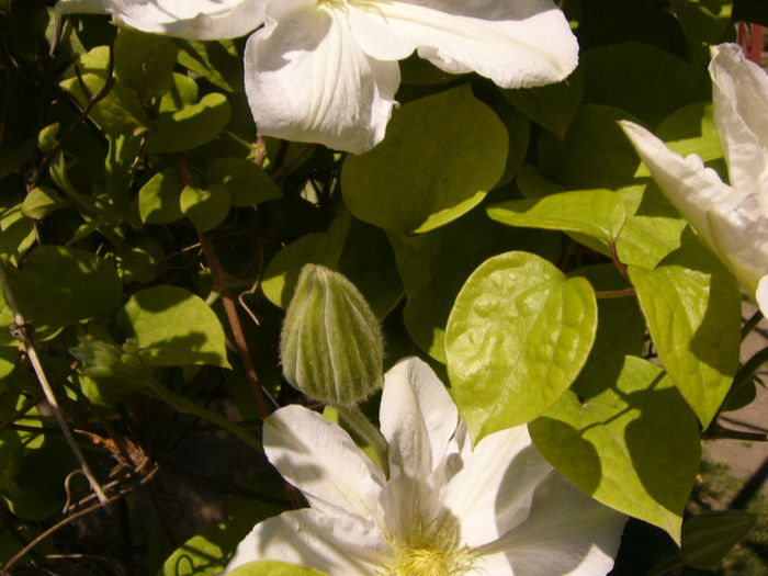 P1250828