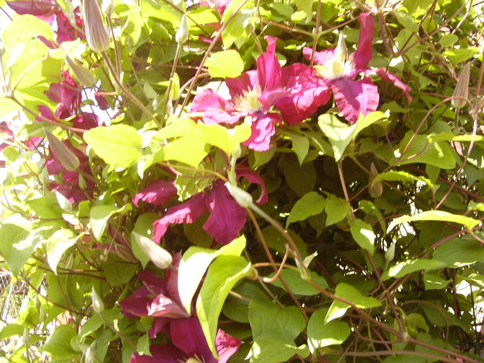 P1250834