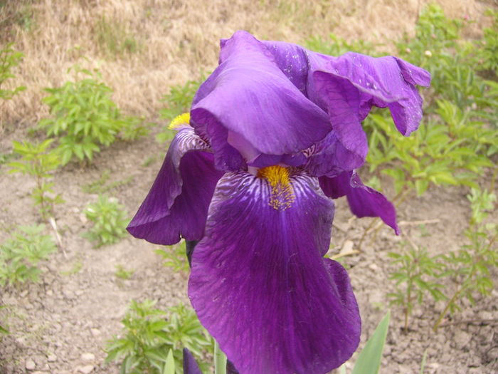 P1250836