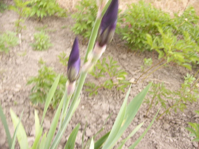P1250837