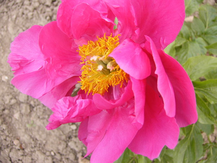 P1250838