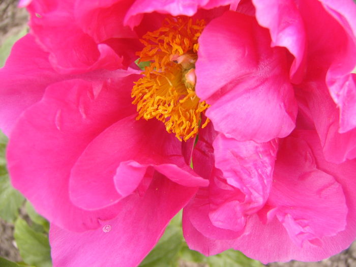 P1250839