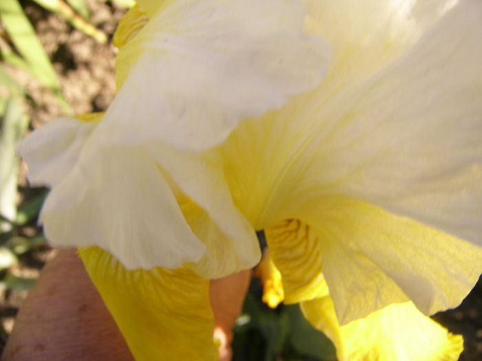P1250873