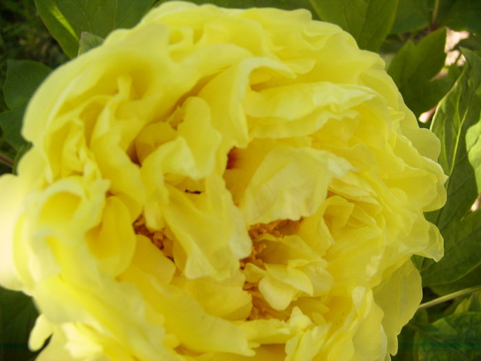P1250879