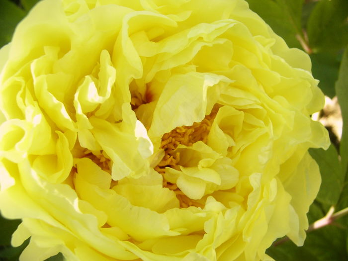P1250880
