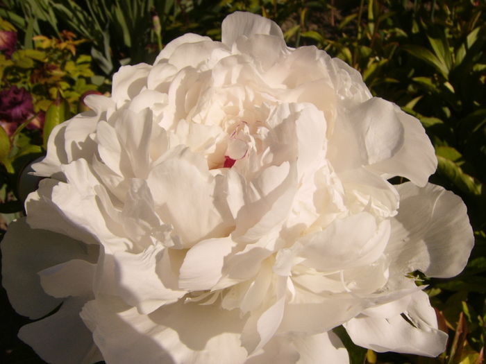 P1250881