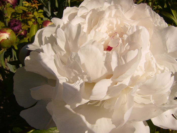 P1250882