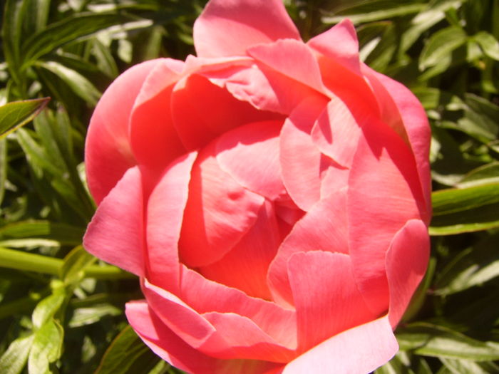 P1250883