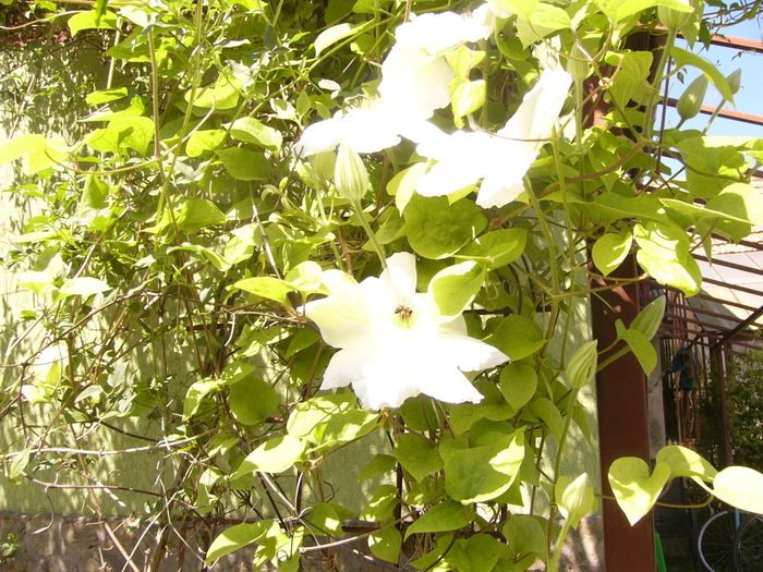 P1250887