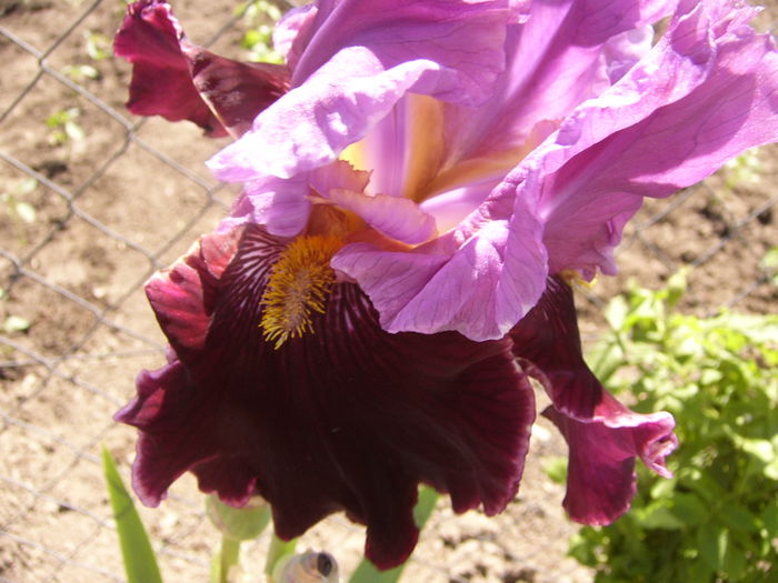 P1250890