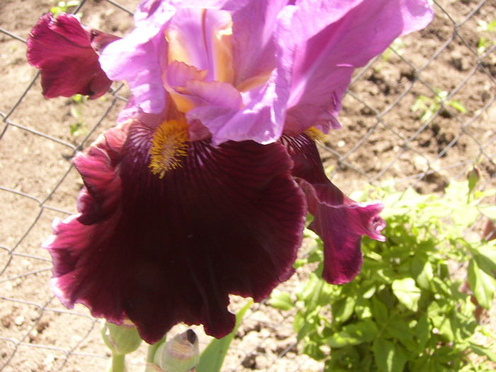 P1250892