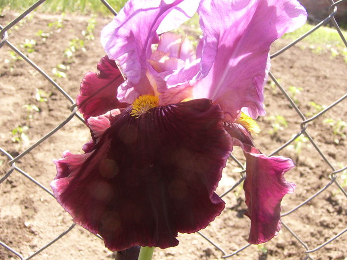 P1250893