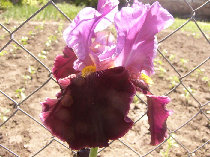 P1250894